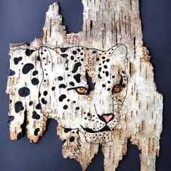 Jonas Lautrop leopard